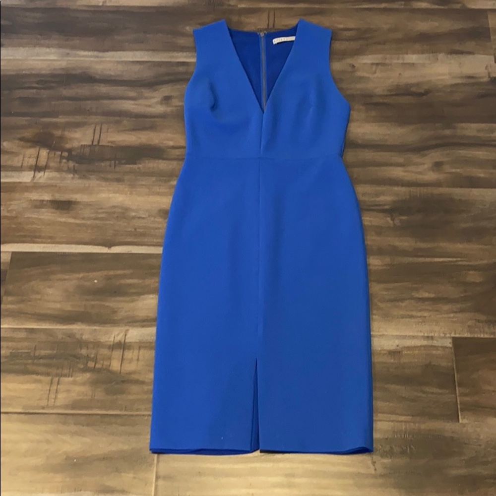 Tailored, form fitting dress.